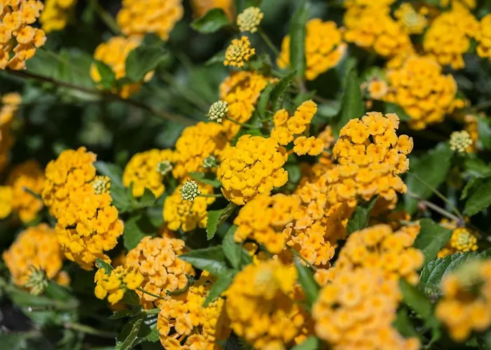 Villaggio Tramonto Parco vacanze 3*