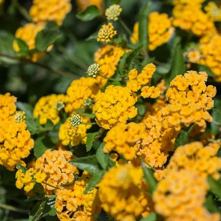 Villaggio Tramonto Village de vacances 3*