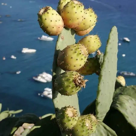 Villaggio Tramonto 3* Capo Vaticano