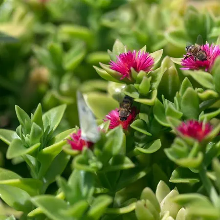 Village de vacances Villaggio Tramonto 3*