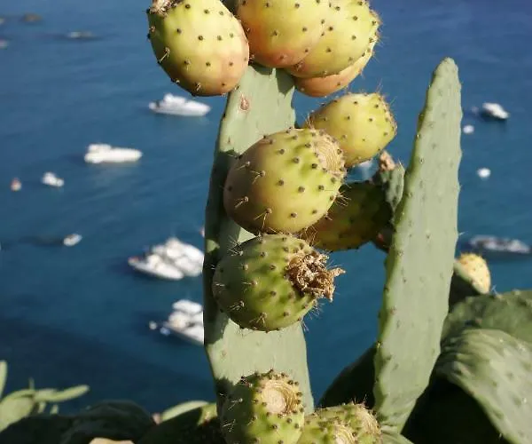 Villaggio Tramonto 3* Capo Vaticano